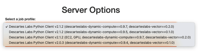 workbench-server-options-2